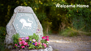 Discover Devon