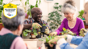 Keep Older People Connected at Christmas