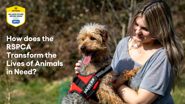 How Does the RSPCA Transform the Lives of Animals in Need?