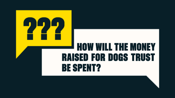 How Will Dogs Trust Spend The Money Raised?